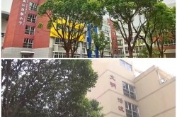 上海市民办小学哪家强？有哪些特色？