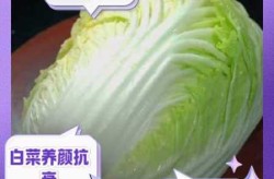 疫情期间大白菜涨价是否合理（白菜为什么涨价）