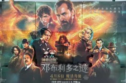 神奇动物3邓布利多之谜有彩蛋吗（神奇动物之邓布利多之谜）