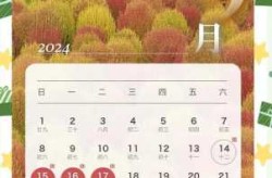 2024年春节7天改为9天可能吗（2024年春节免费几天）