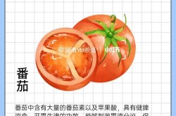 如何食疗丰胸？有效果吗？有没有风险？