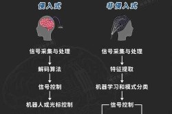 马斯克脑机接口新进展，未来人类生活将如何改变？
