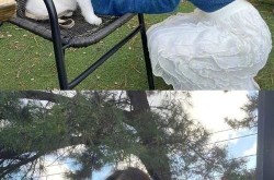 宋智雅个人资料介绍，她有哪些成名作？