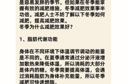 冬季快速减肥方法有哪些？哪种最有效？