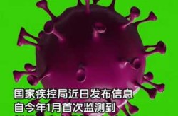 2024年新冠病毒会再来吗（2025年新冠阳了怎么办）