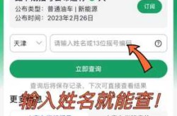 北京小客车摇号官网查询系统（查小车摇号是否中标）