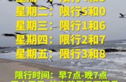 石家庄限号吗2023年12月份限行（2023年石家庄限号时间表）