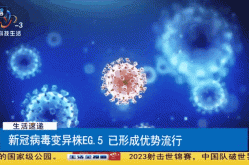 西安疫情毒株为奥密克戎BA5变异株（奥密克戎变异毒株BF.7）