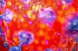 俄罗斯秋季新冠疫情将更猛烈（俄罗斯疫情）