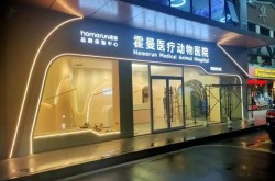 广州有哪些值得信赖的宠物医院？如何选择？