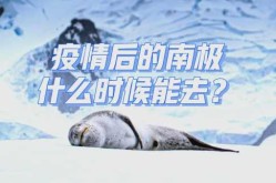 因疫情原因美国暂停南极旅游申请（去南极旅游办哪个国家签证）