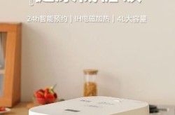 电饭锅排名前十品牌有哪些？哪个煮饭最香？