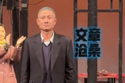 文章整容前后变化大吗？他做了哪些整形项目？