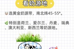 婴儿奶粉品牌怎么选？如何为宝宝挑选合适的奶粉？