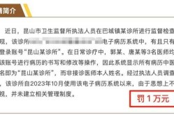 委员建议全国统一医院电子病历（现在医院病历是全国联网吗）