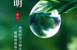 清明节是4月4号还是4月5号（清明是固定4月5日吗）