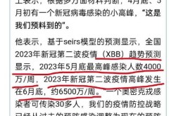 疫情第二波感染高峰期2023（第二波感染高峰什么时候来）