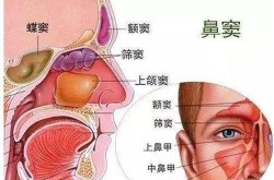 治疗鼻窦炎的专科医院哪家强？有哪些治疗方法？