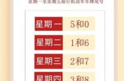 石家庄限号2023年12月最新限号（石家庄12月30号限行）