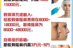 鼻梁整形手术费用大概是多少？效果如何？