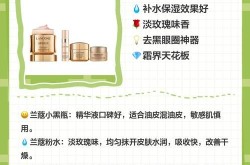 大s美容大王2有哪些新内容？对美容护肤有哪些新见解？
