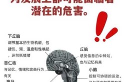 新冠病毒攻击大脑的主要表现（新冠对大脑的损害）