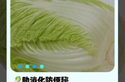 疫情期间一颗白菜近50元?西宁回应f（一颗大白菜重多少克）