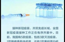 我国又一个新冠病毒疫苗获批紧急使用（我国紧急接种的哪种新冠疫苗）
