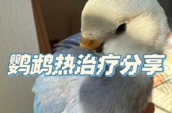 浙江丽水5例鹦鹉热病例痊愈出院（鹦鹉热病会不会人传人）