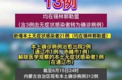 31省份新增本土确诊21例 在内蒙古（31省份新增本土确诊30例）