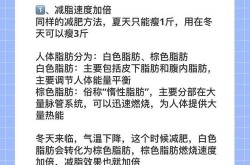 冬天怎么健康减肥？有哪些减肥方法推荐？