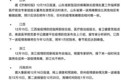 疫情高峰何时来?多地判断峰值时间上海（2024返沪高峰是什么时候）