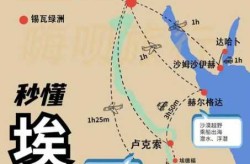 埃及赴华2架次航班108人检测阳性（埃及飞往中国的航班）
