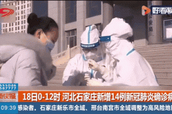 河北新增本土确诊病例12例（河北新增确诊病例40例）