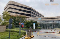 嘉会国际医院整形科有哪些特色项目？