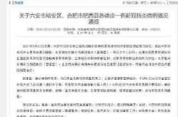 安徽通报新增2例确诊病例情况（安徽有确诊病例吗）