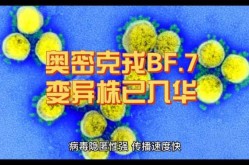 山西首次发现奥密克戎BF.7变异株（奥密克戎变异株症状）