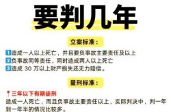 邯郸开车撞人男子被刑拘 曾超量服药（开车超速撞人,会多判多少责任）