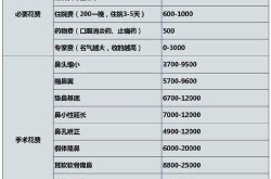 耳软骨鼻手术多少钱？和硅胶隆鼻比哪个更自然？