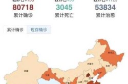 疫情最新数据消息中国各省地图（中国疫情最新情况）