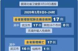 现在疫情最严重的有几个地方 城市（哪几个城市疫情最严重）