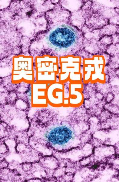 至少15种奥密克戎变异株现身国内（xbb是奥密克戎变异株什么型）