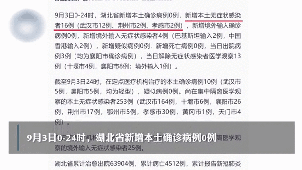 湖北省新增本土确诊病例3例 均在武汉(武汉本土病例新增)