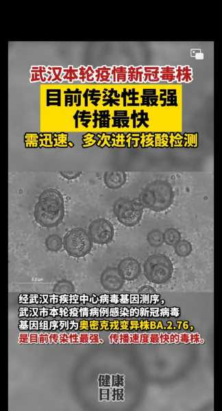 BA.2.76变异株不到2天传播1代(迄今为止传染性最强的变异株)
