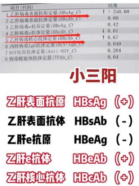 得知“10混1”初筛阳性后该怎么做(乙肝五项1和5是阳性是怎么回事)