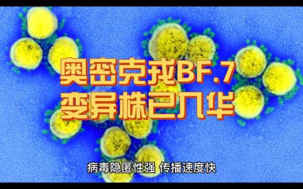 山西首次发现奥密克戎BF.7变异株（奥密克戎变异株症状）