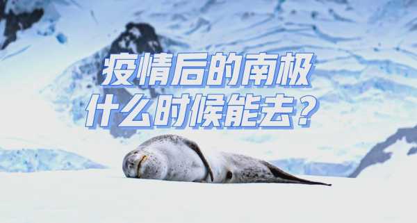 因疫情原因美国暂停南极旅游申请（去南极旅游办哪个国家签证）