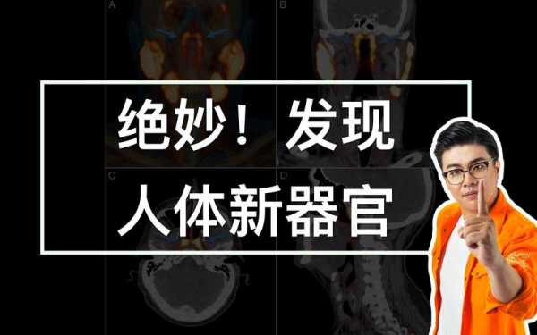 科学家在人体内发现未知新器官(美国科学家发现人体新器官经络)